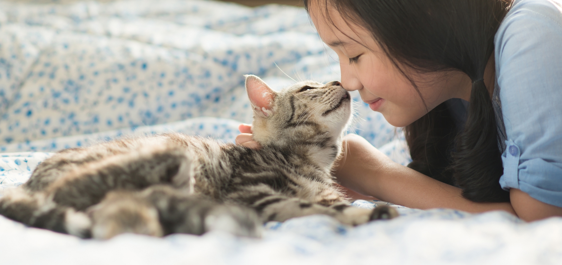 元気になった猫とベットで戯れる