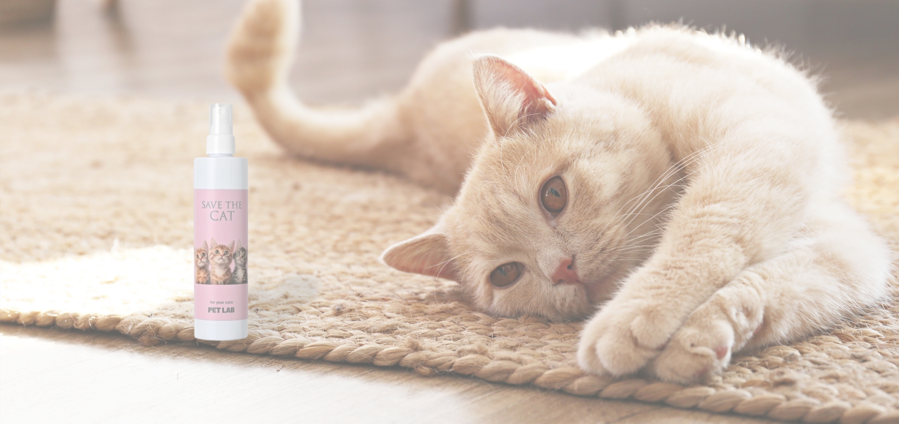 抜け毛・皮膚病対策の猫用化粧水「セイヴ ザ キャット」を使っているようす