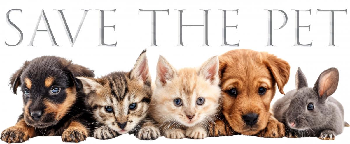 犬、猫、ウサギ向けの化粧水ならジュエルウォーター